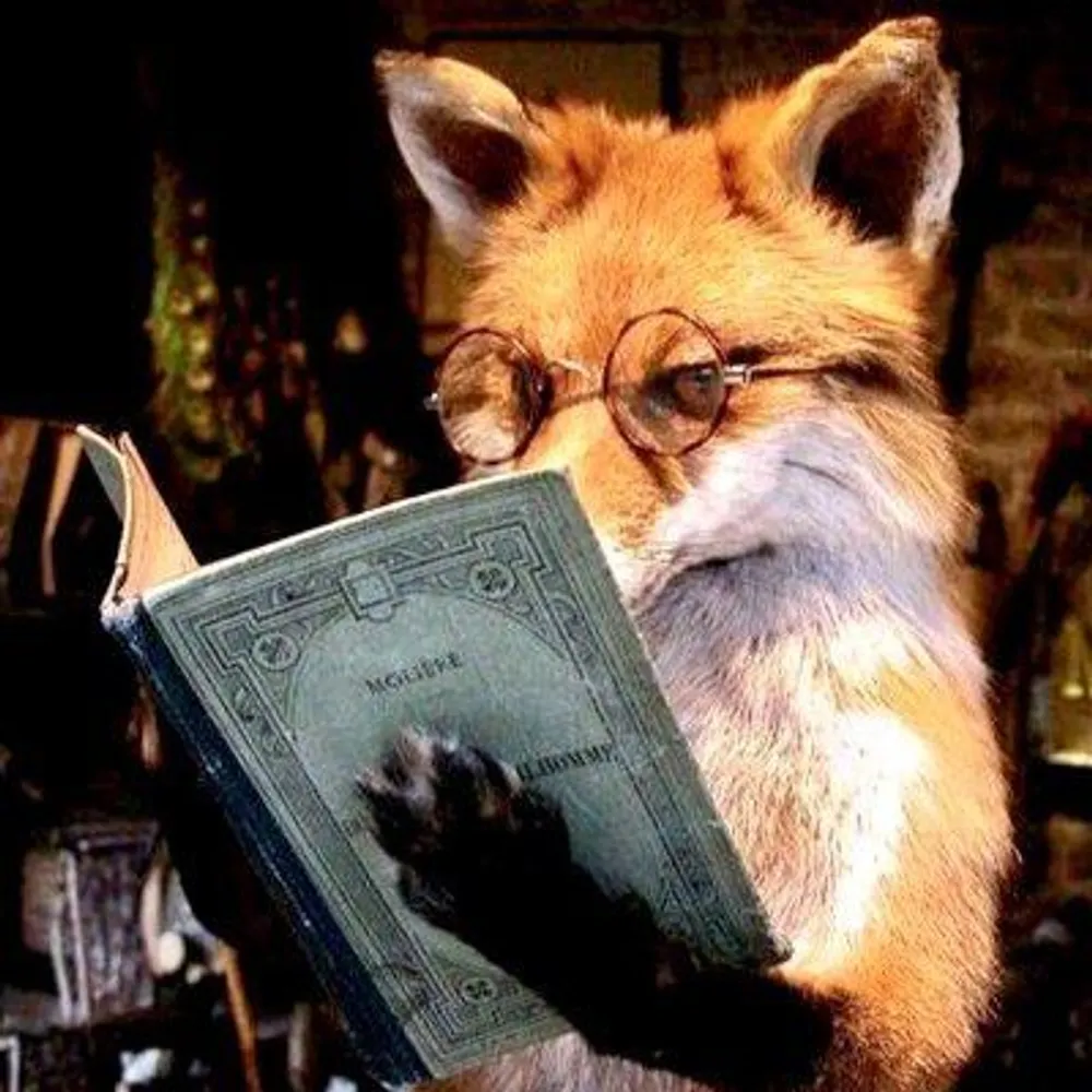 maggiemaeslyfox.bsky.social's profile picture