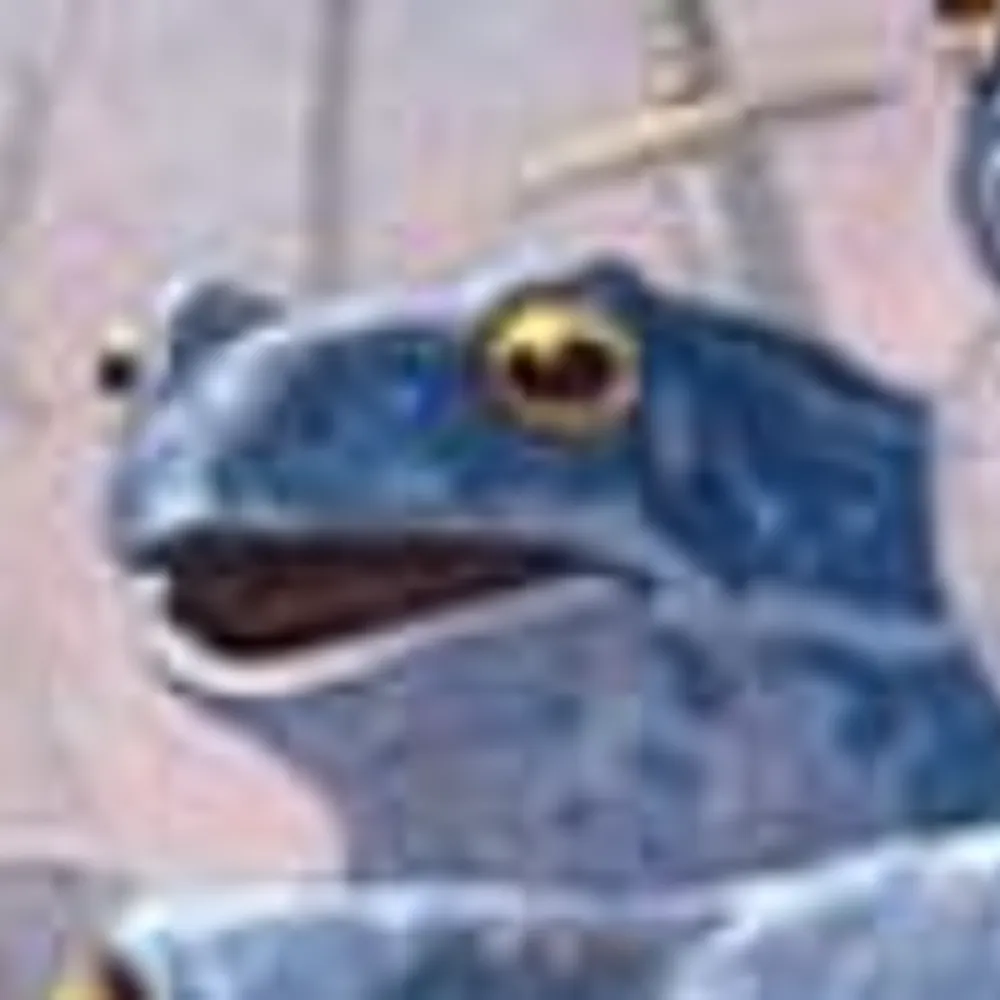 notsanni.bsky.social's profile picture