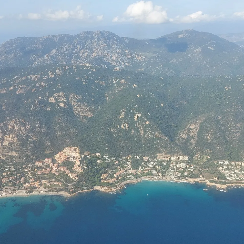 ibscholar.bsky.social's profile picture