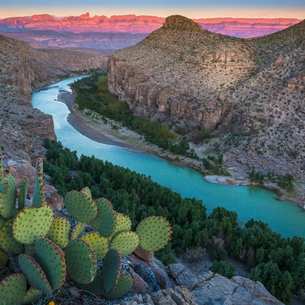 elparece.bsky.social's profile picture