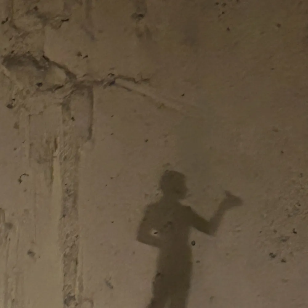 flobby.bsky.social's profile picture