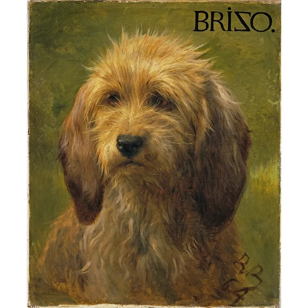 loquaciousscribble.bsky.social's profile picture