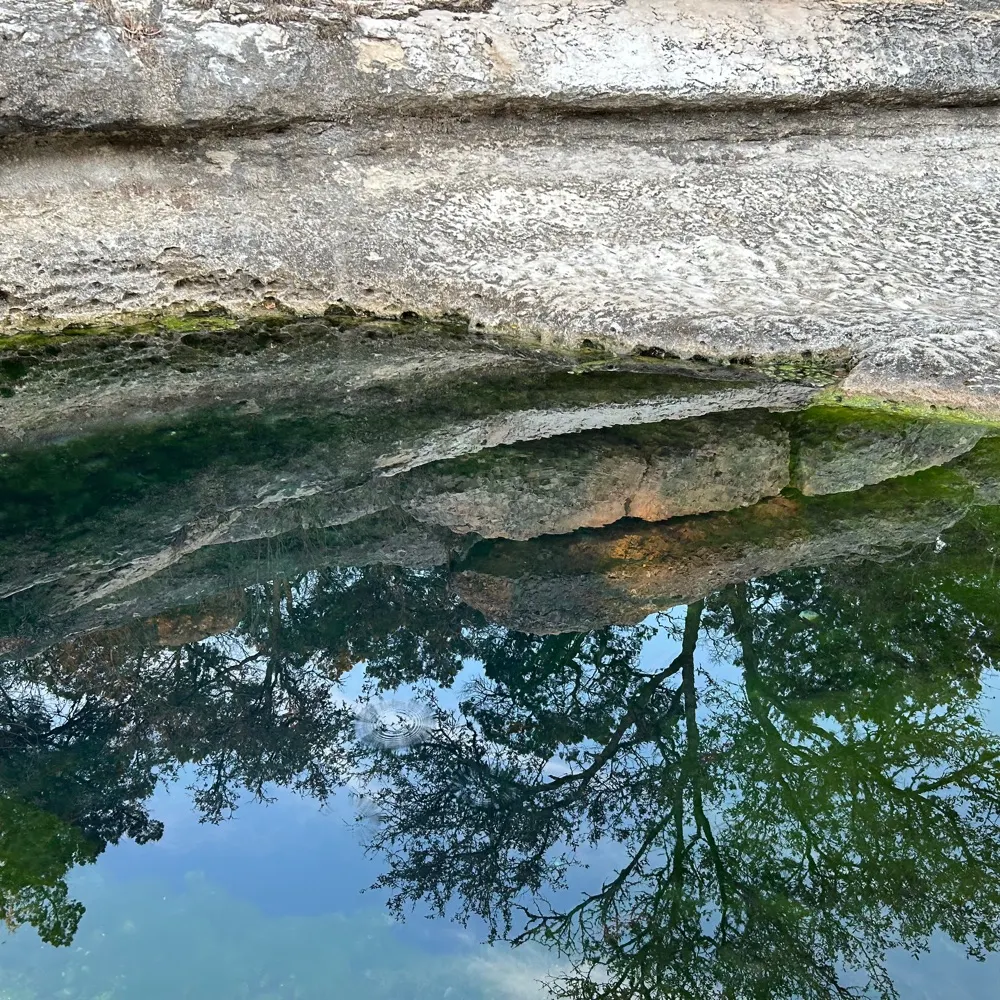 older-not-wiser.bsky.social's profile picture