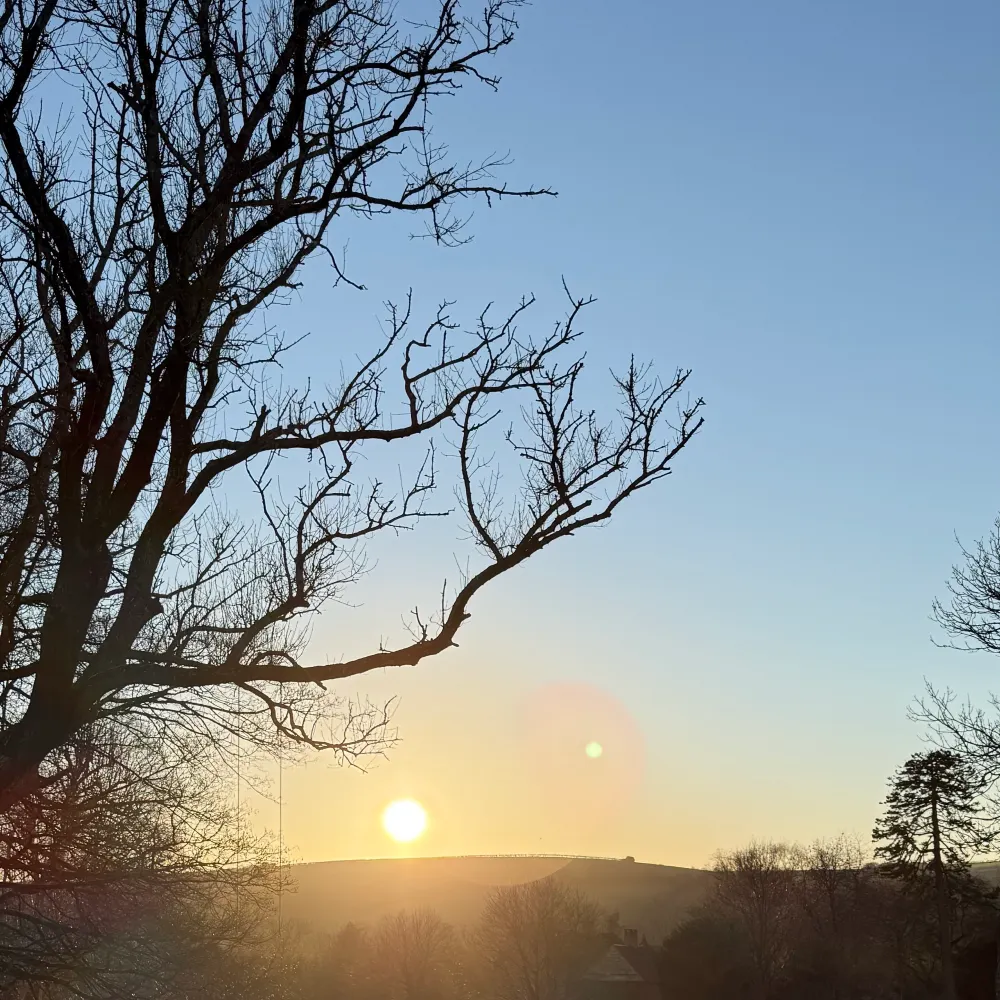 pezregis.bsky.social's profile picture