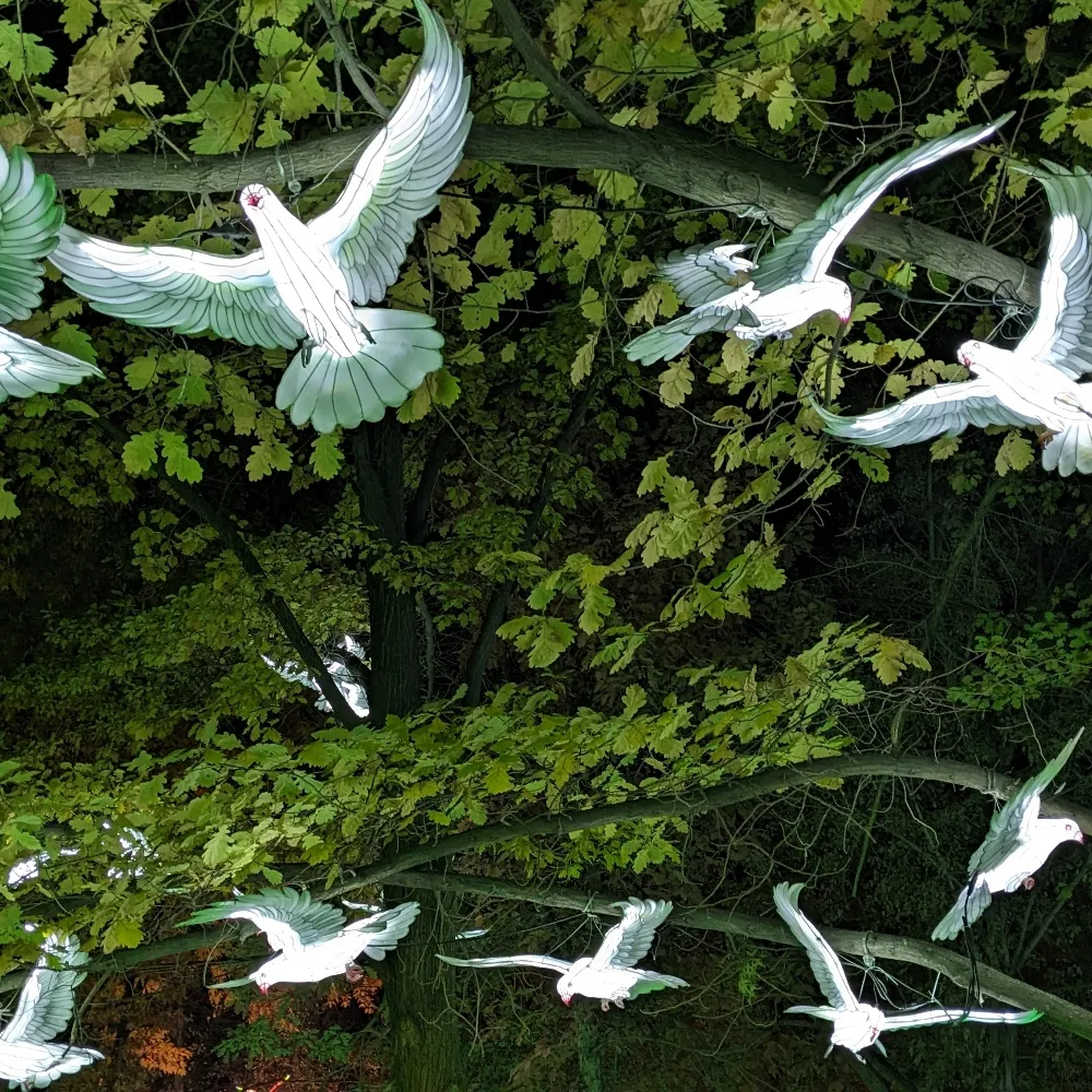 thegrovedigger.bsky.social's profile picture