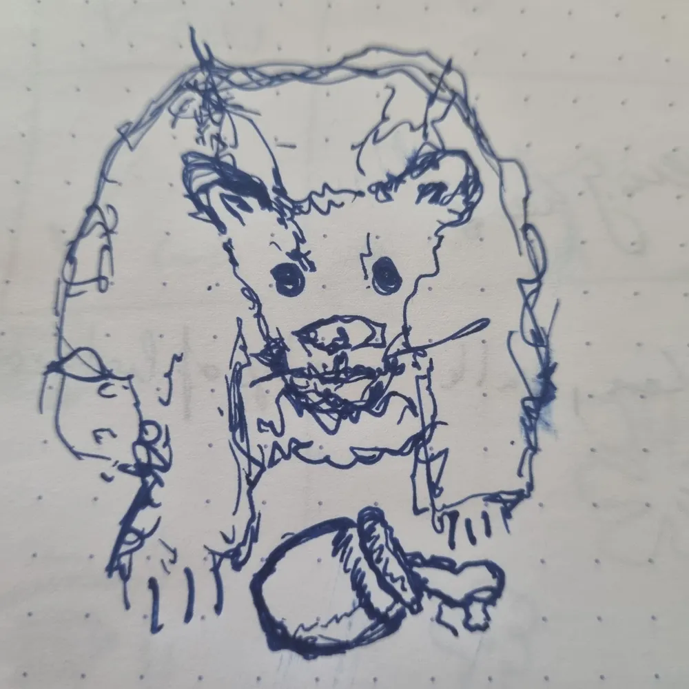 lorenzoalpacas.bsky.social's profile picture