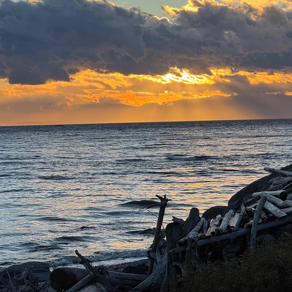 tombeshoff.bsky.social's profile picture