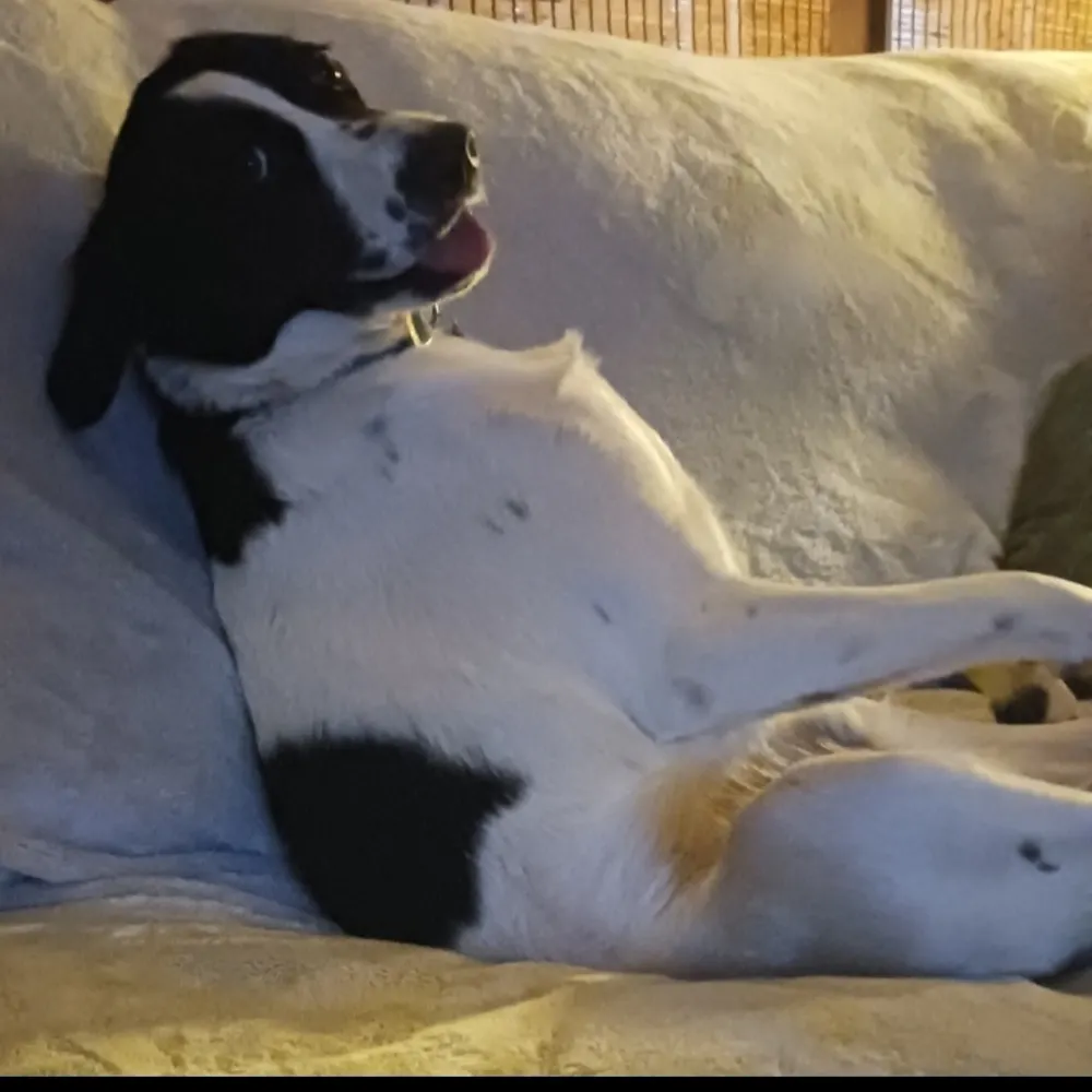 randyinthenati.bsky.social's profile picture