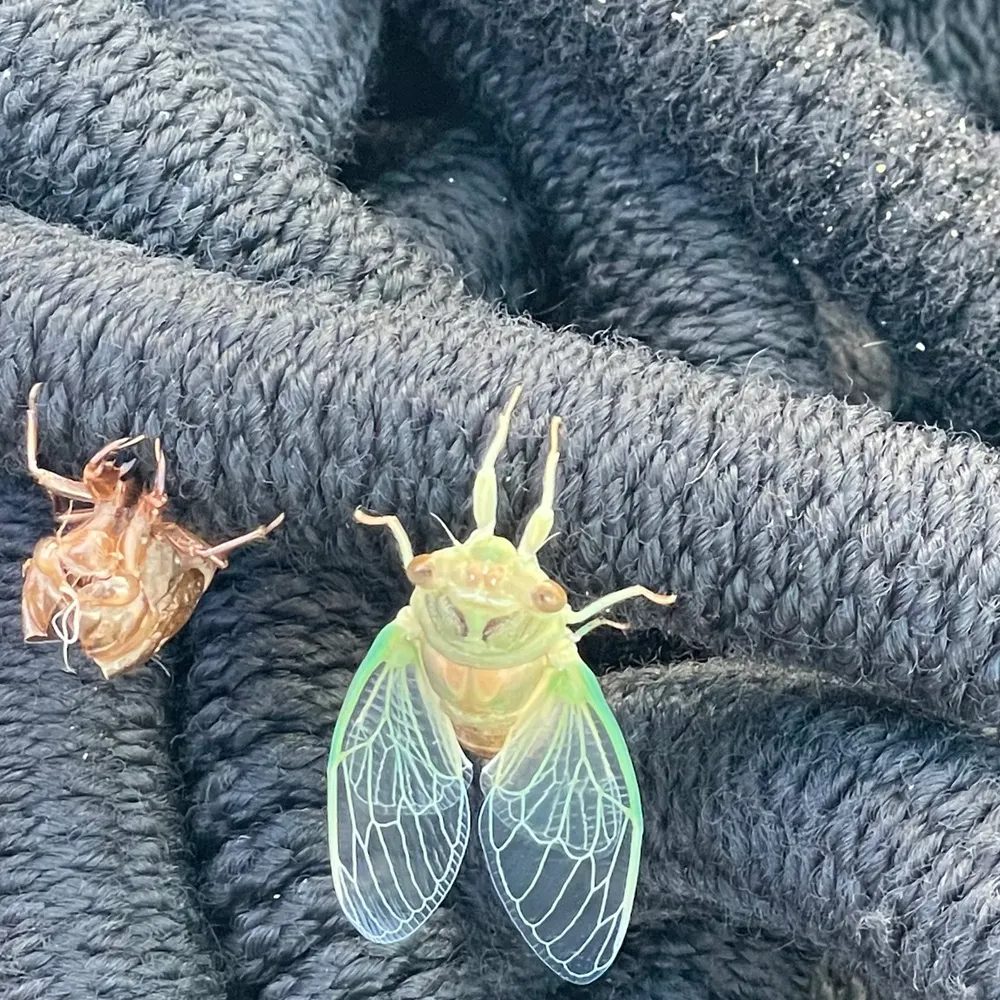 sandy639.bsky.social's profile picture