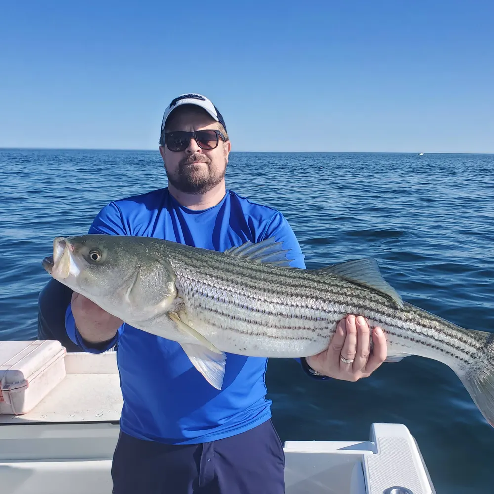 willmmmm.bsky.social's profile picture