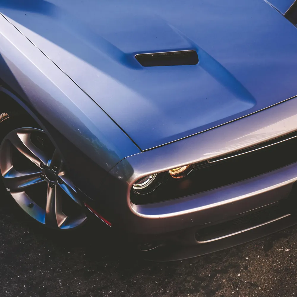 kayleadfoot.bsky.social's profile picture