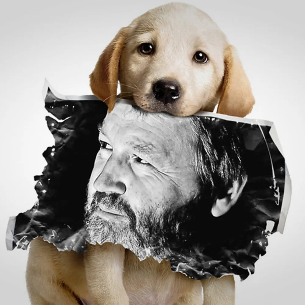 newtongrunnion.bsky.social's profile picture