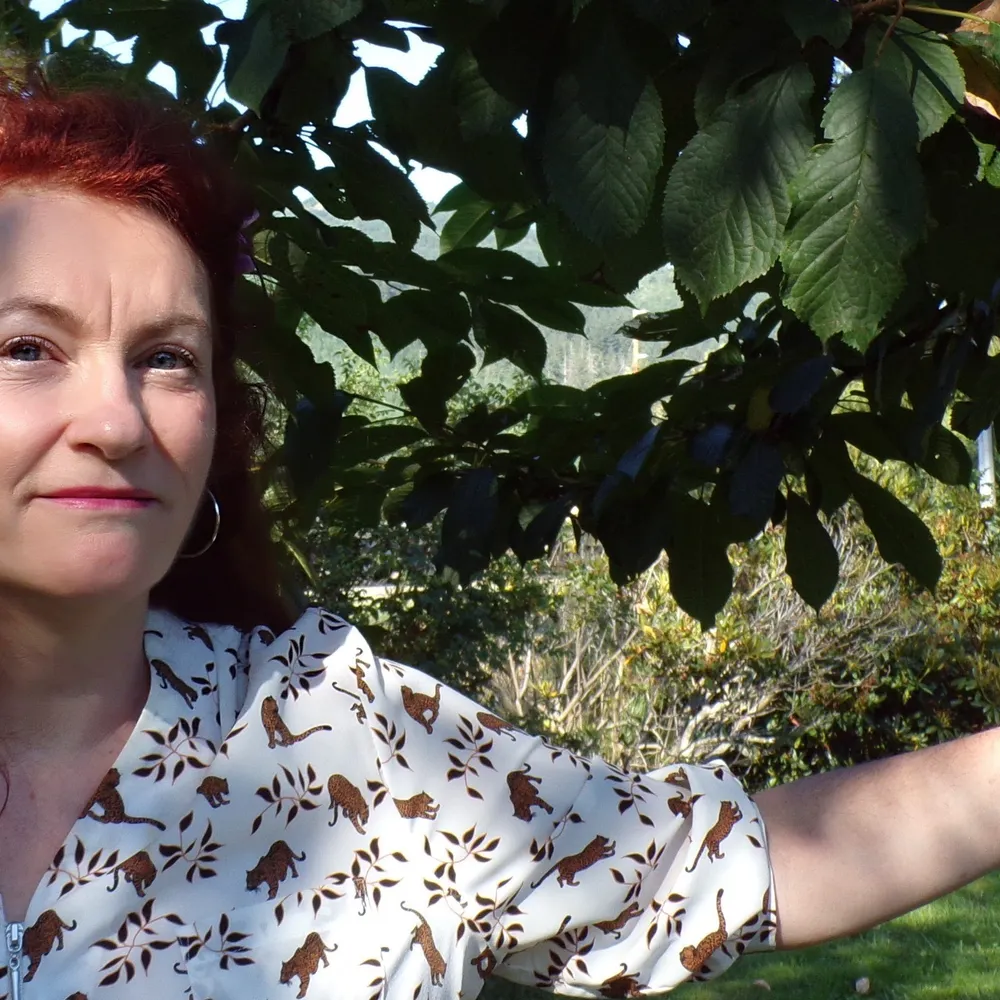 hnowlinlaw.bsky.social's profile picture