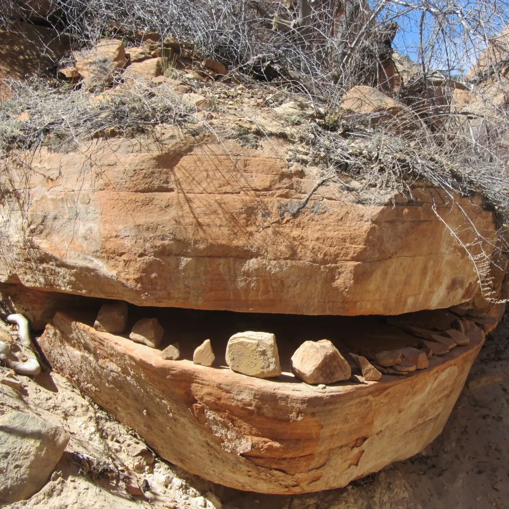 boulderguy.bsky.social's profile picture