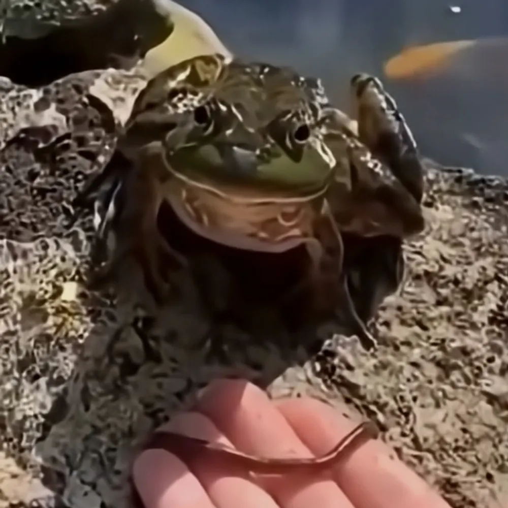 romaliu.bsky.social's profile picture