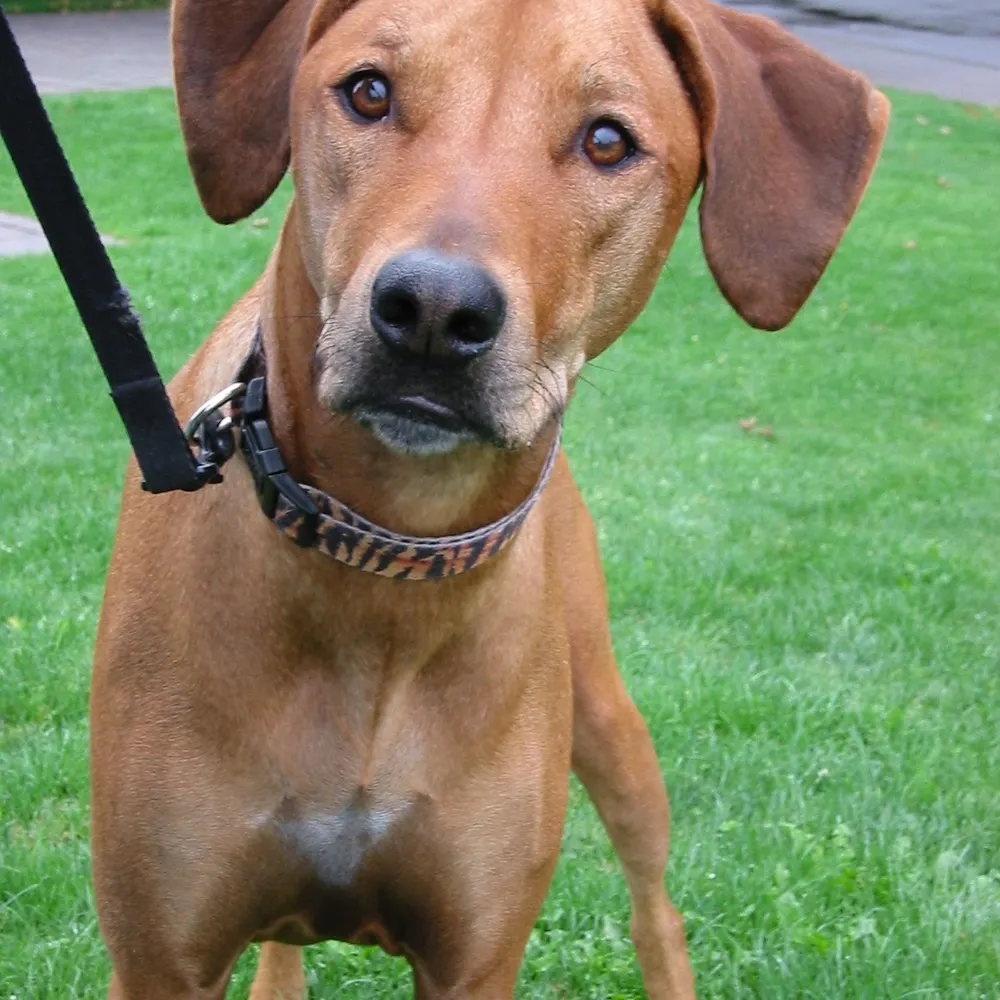 tryg72.bsky.social's profile picture