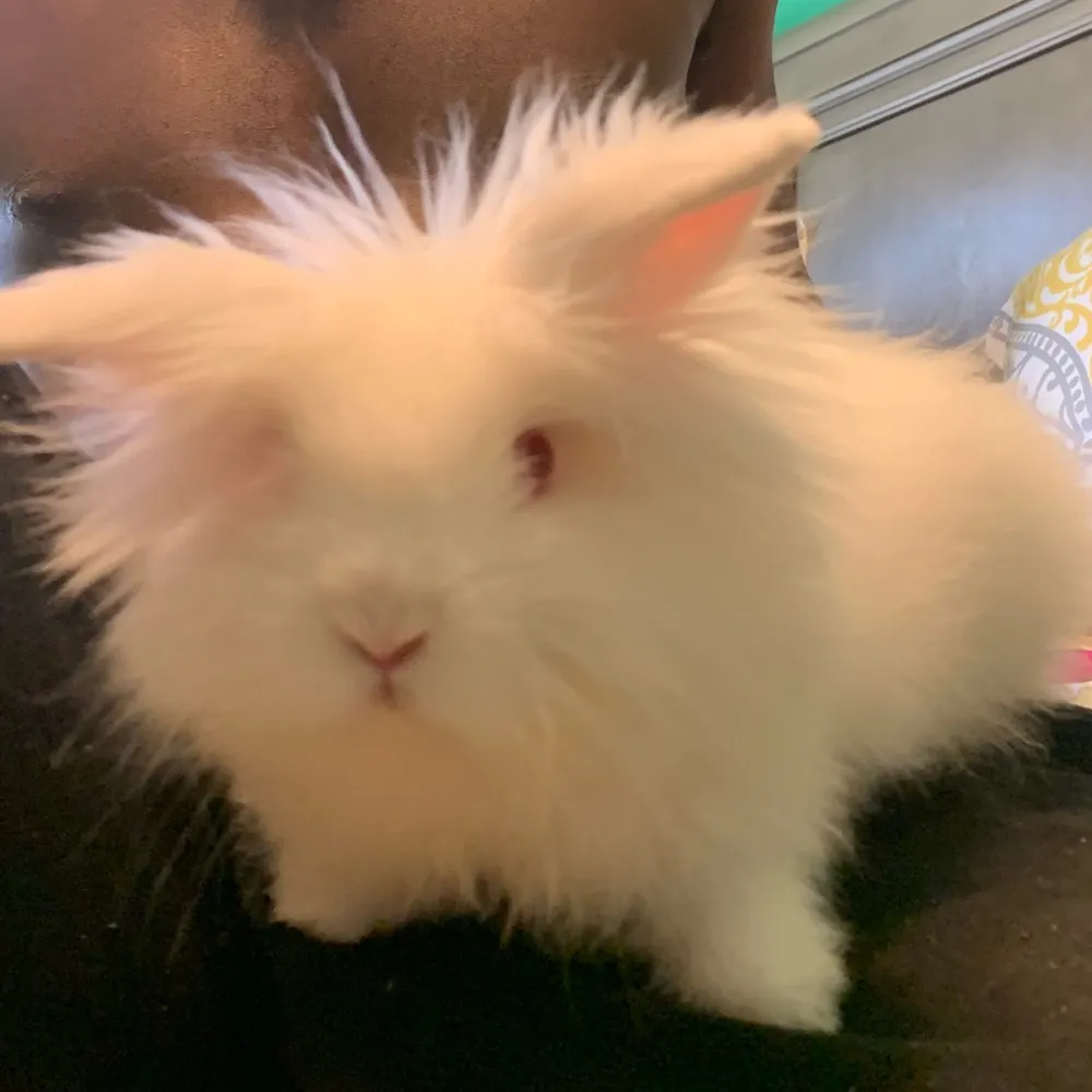 mrjames77.bsky.social's profile picture