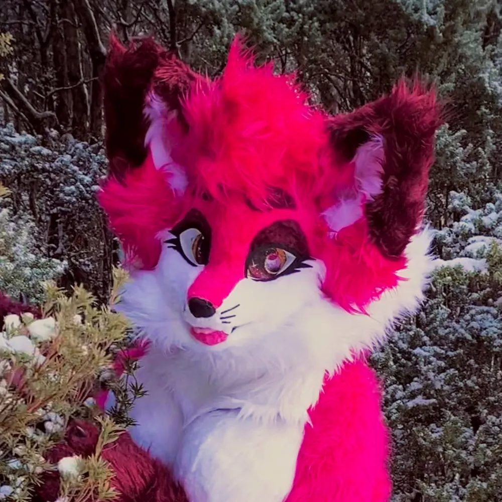 majatek.bsky.social's profile picture