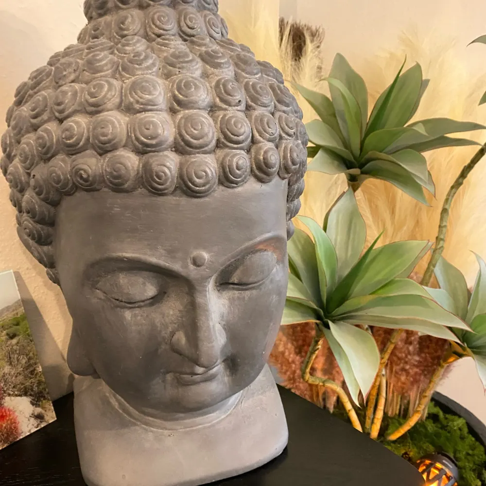 mayoubhappy.bsky.social's profile picture