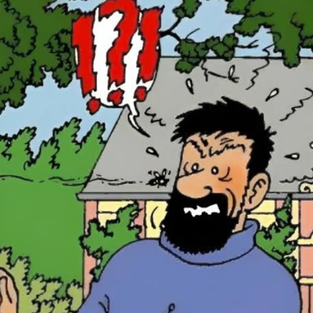 germsdean.bsky.social's profile picture