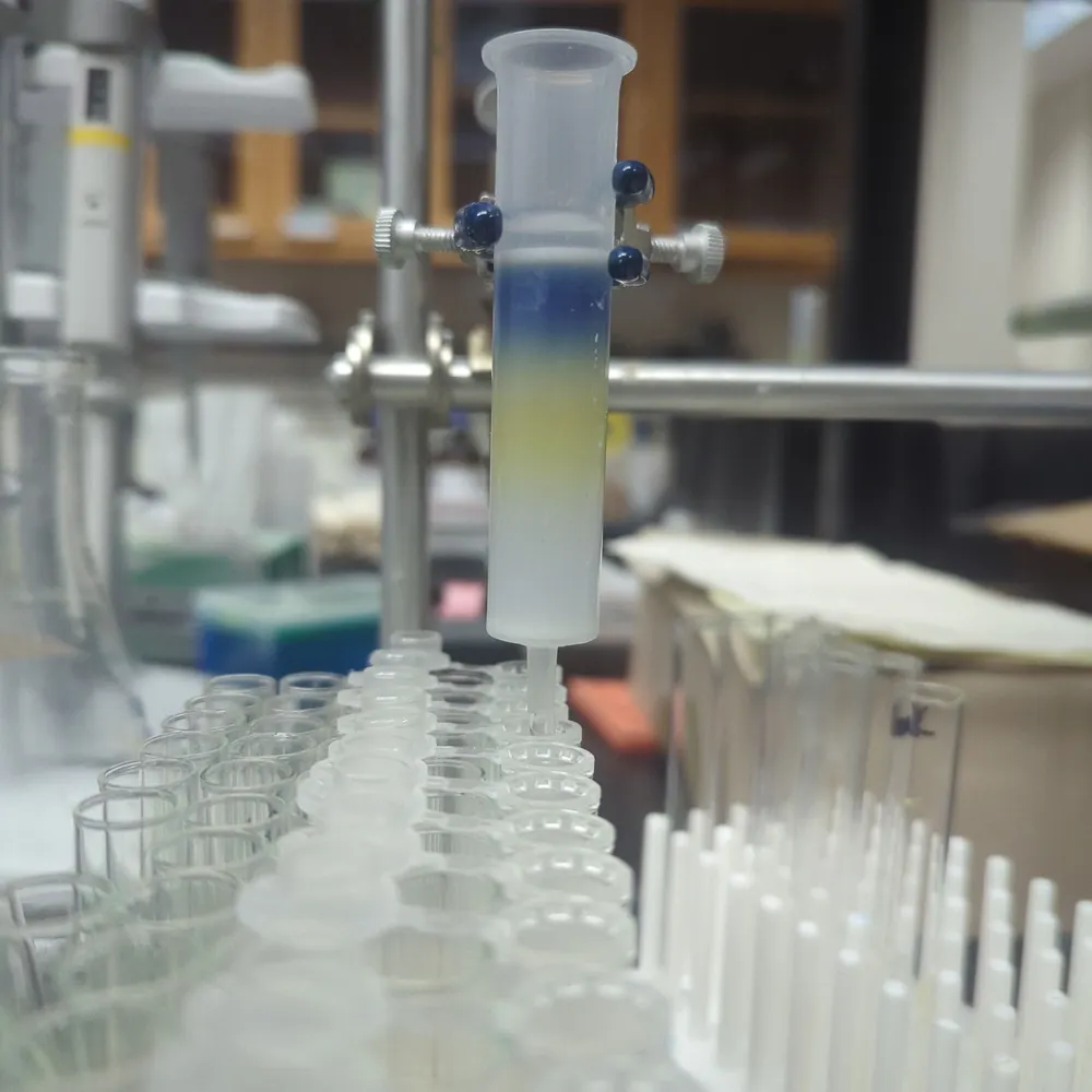 jlinzel.bsky.social's profile picture