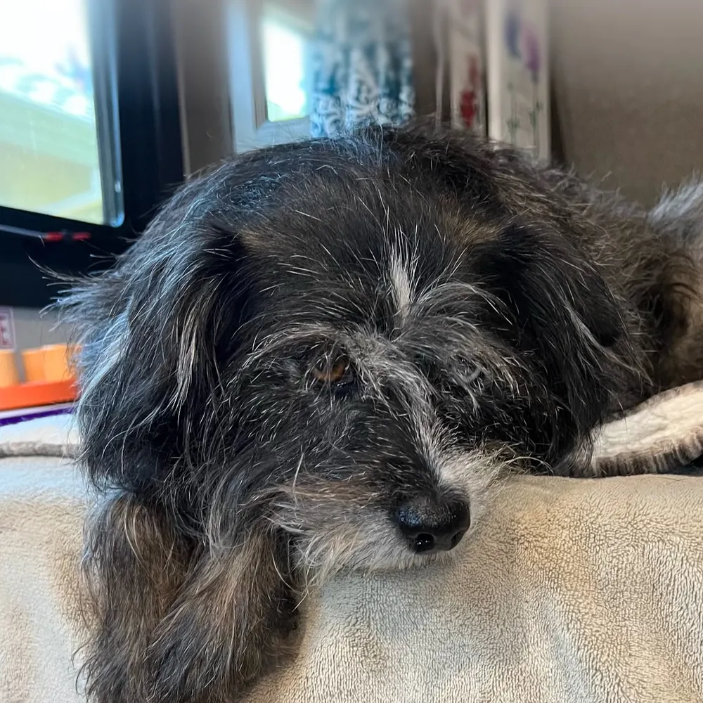 sassysister27.bsky.social's profile picture