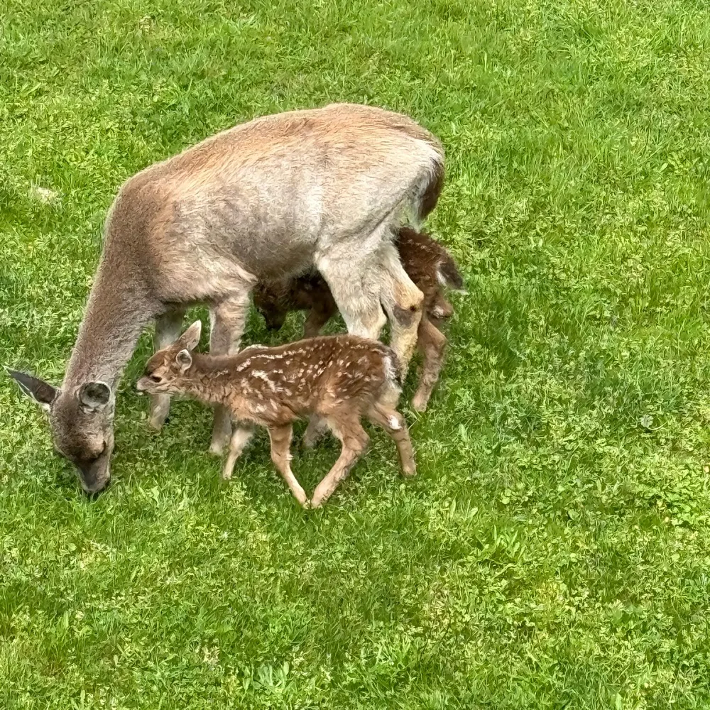 rotten.bsky.social's profile picture