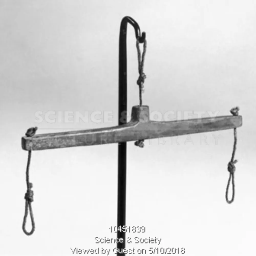 hbservetus.bsky.social's profile picture