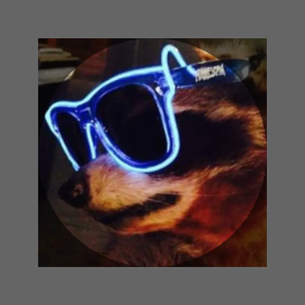 wonderwookiee.bsky.social's profile picture