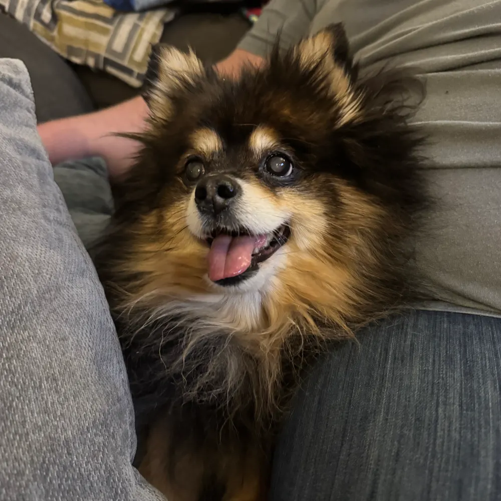 serialbookseller.bsky.social's profile picture