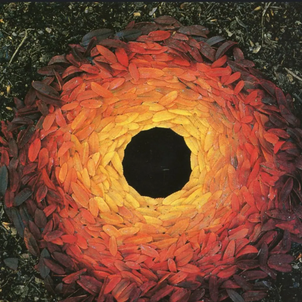 yazikus.bsky.social's profile picture