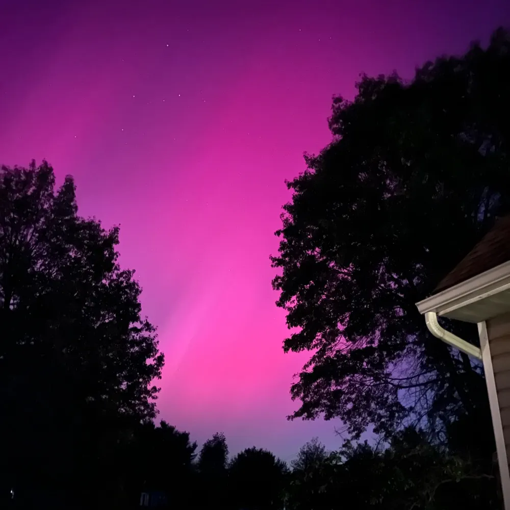 nypagirl1980.bsky.social's profile picture