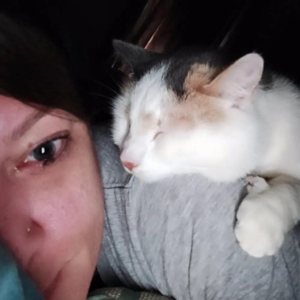 tatumcadasey.bsky.social's profile picture