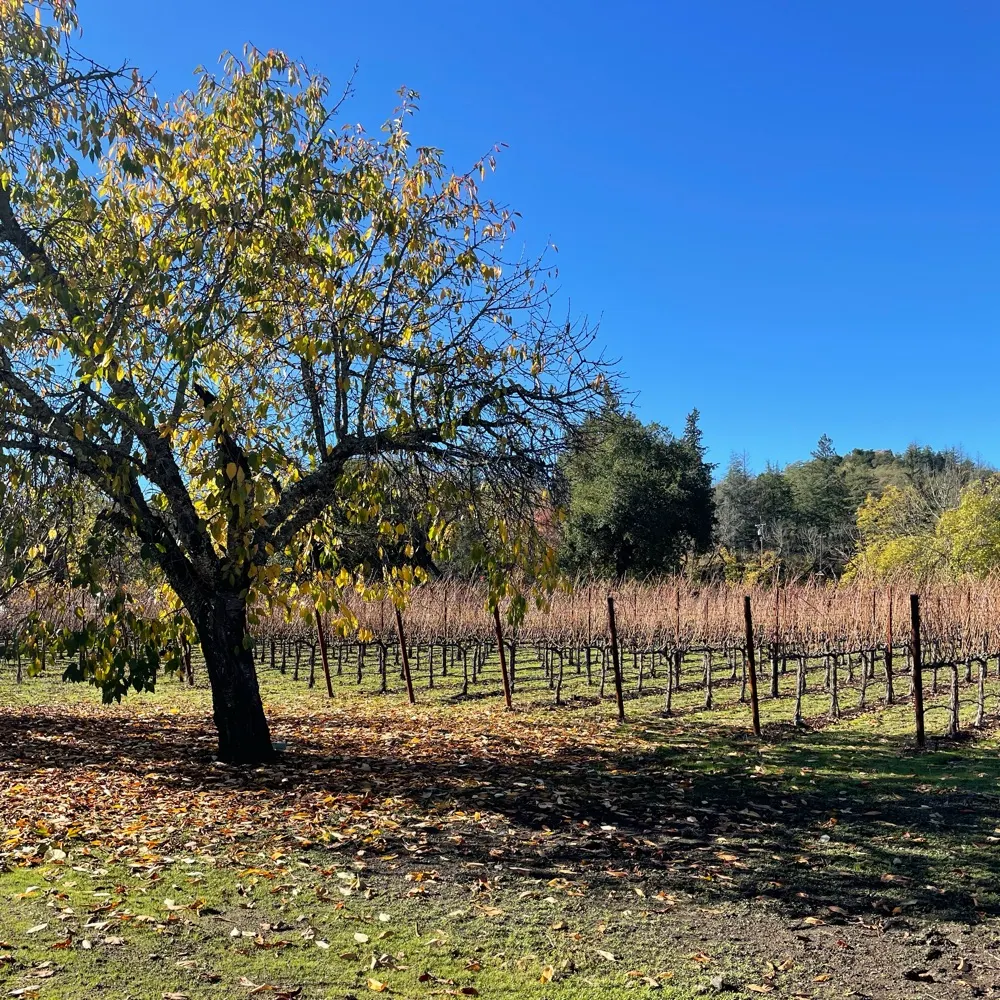 sp251.bsky.social's profile picture