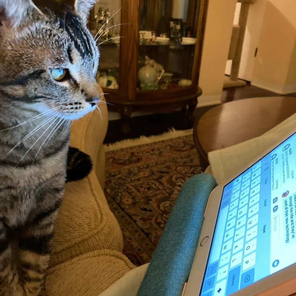 mame6432.bsky.social's profile picture