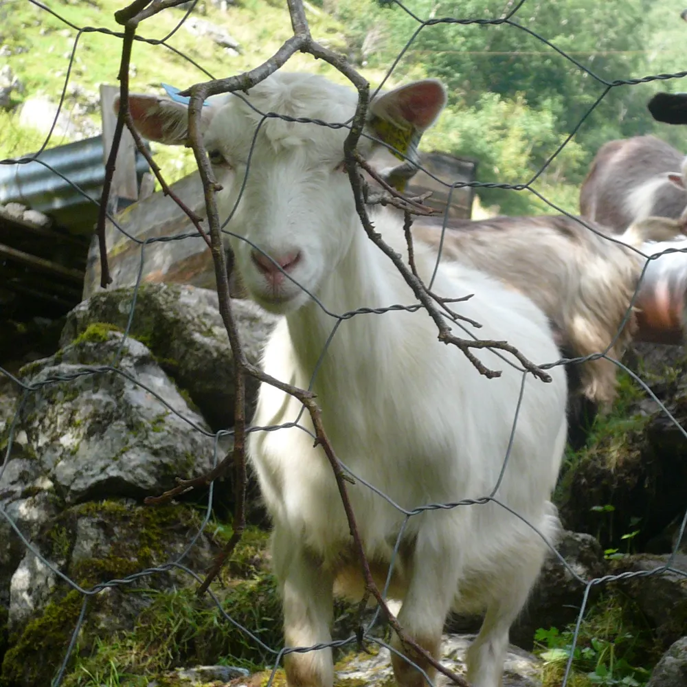 michaelabuckley.bsky.social's profile picture