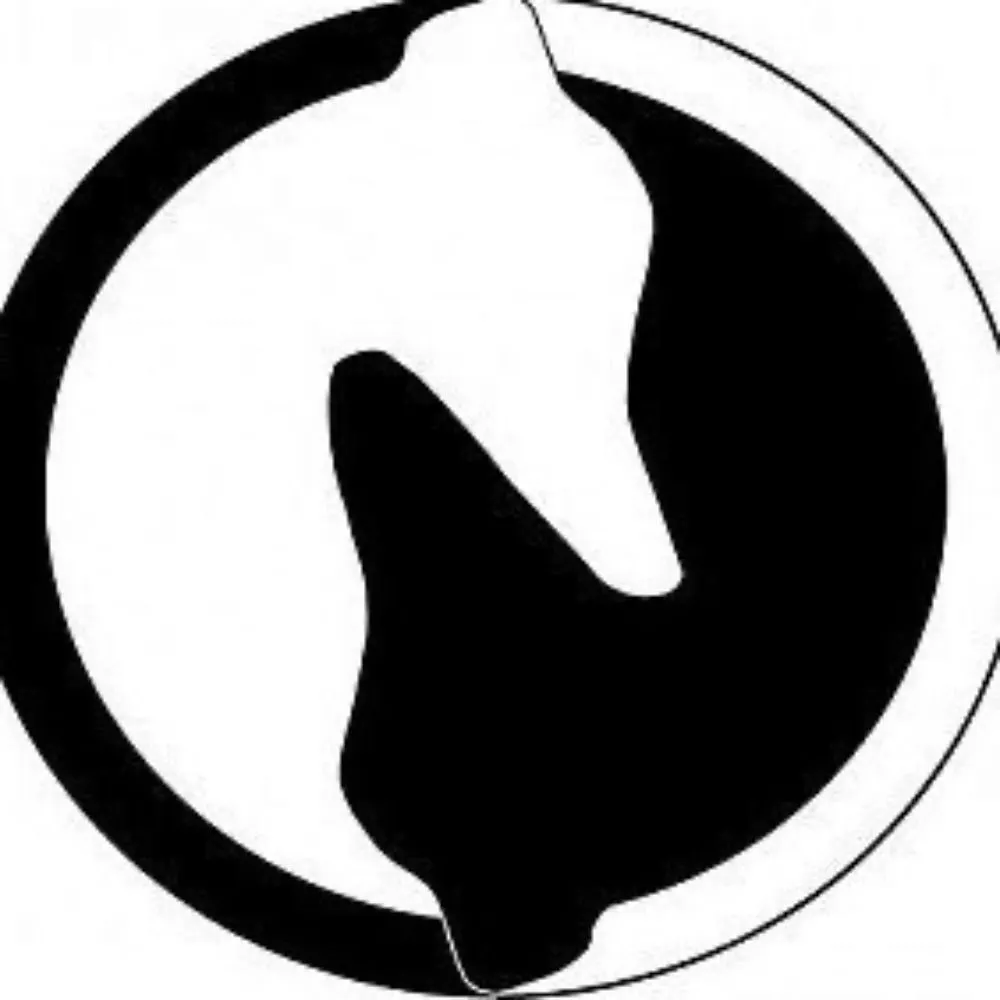 rigamarock.bsky.social's profile picture