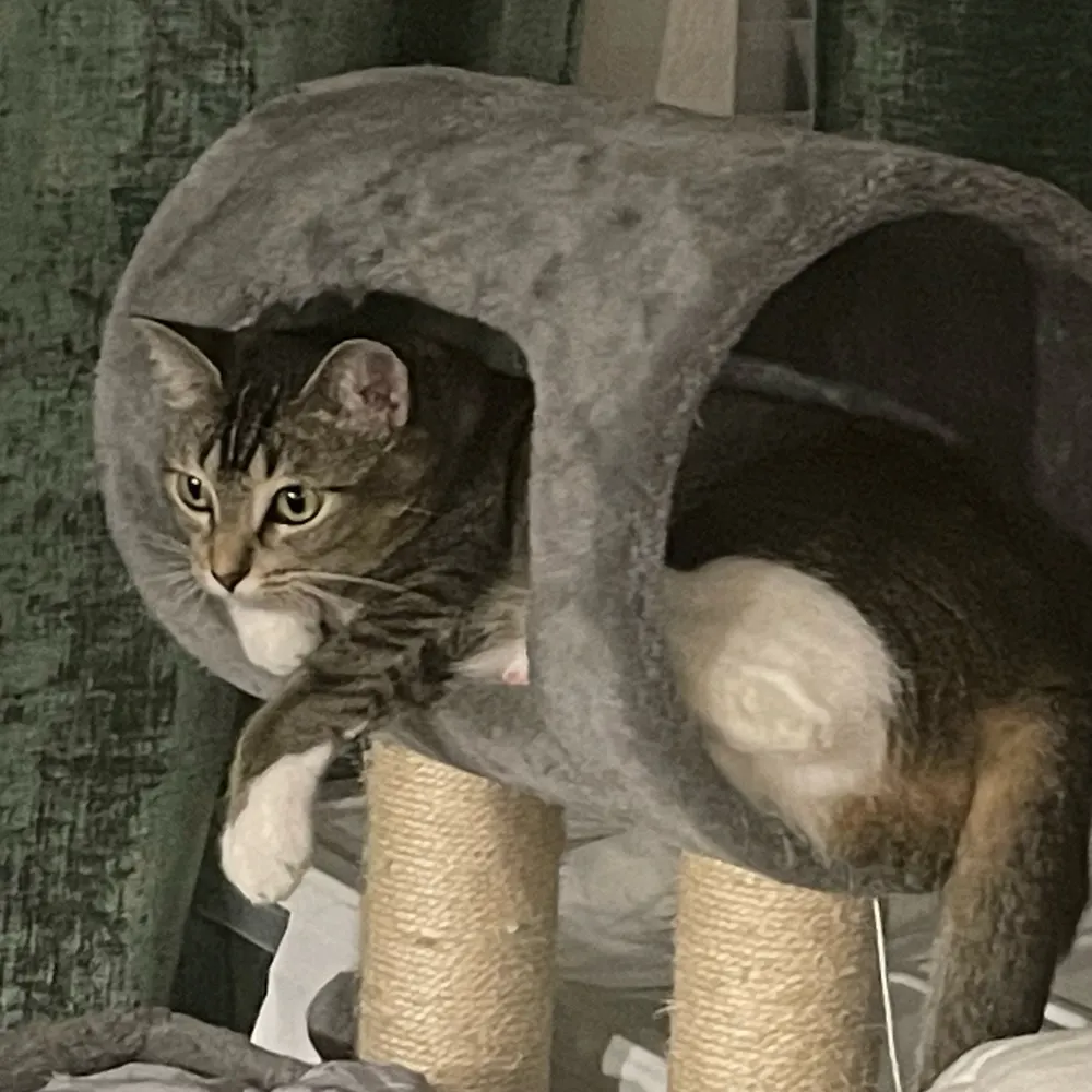 tm71.bsky.social's profile picture