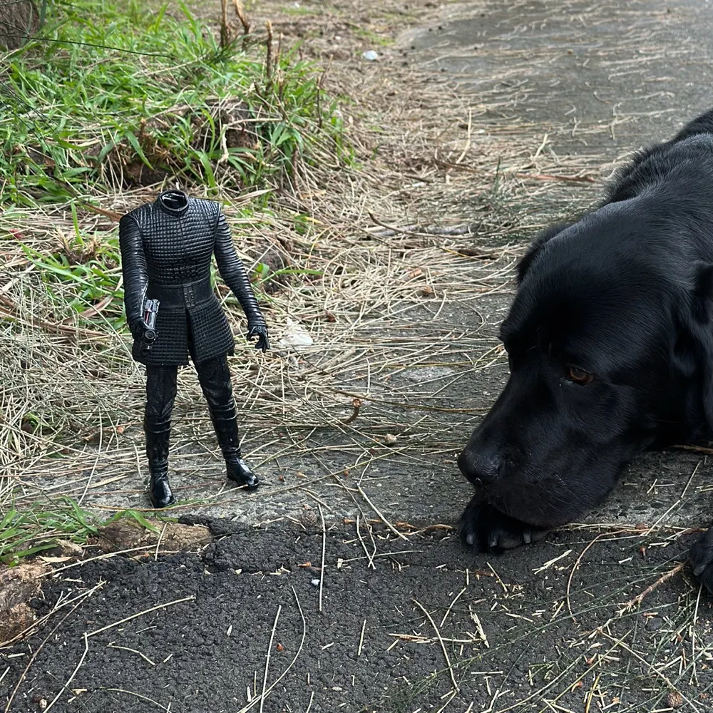 somethingtony.bsky.social's profile picture