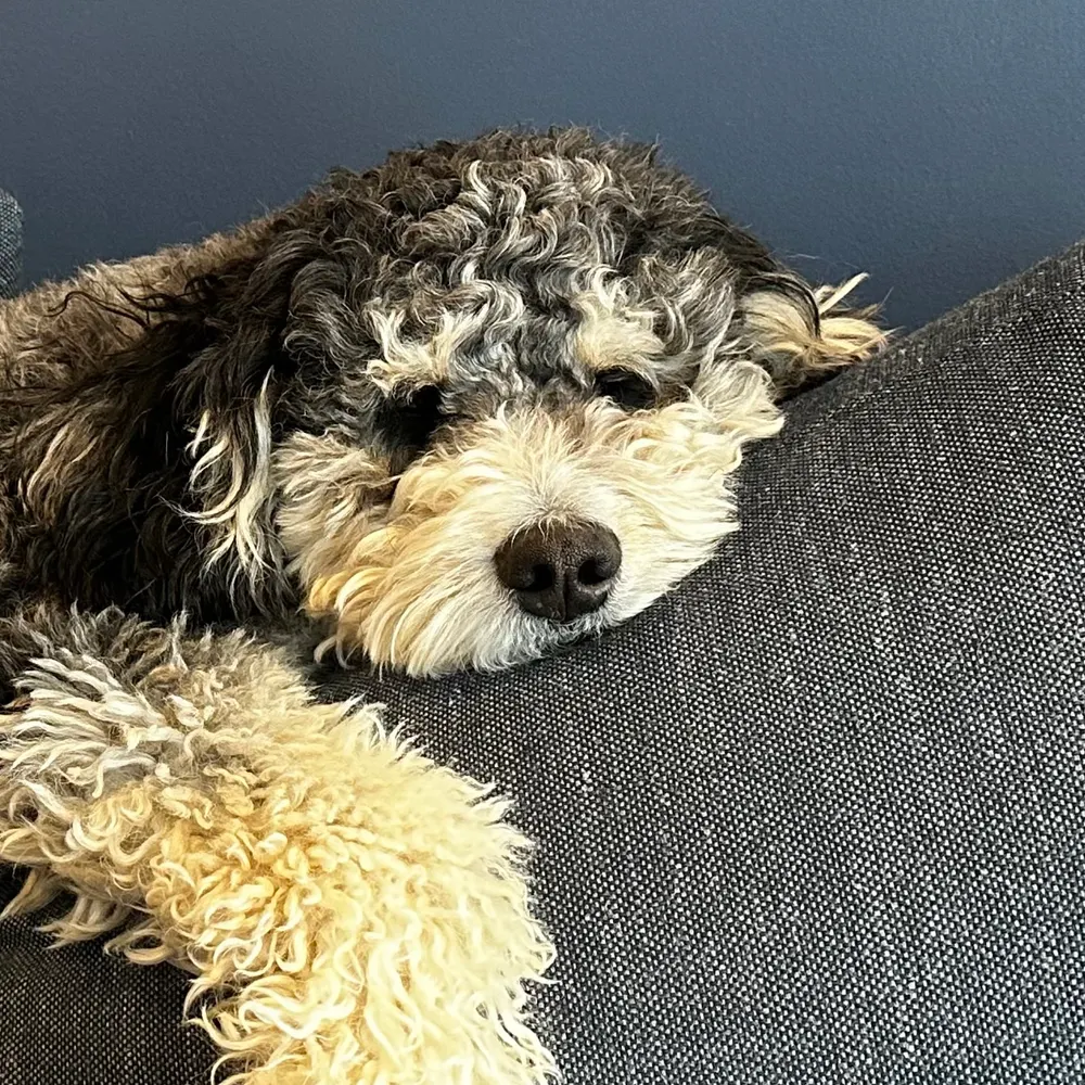 jendem74.bsky.social's profile picture