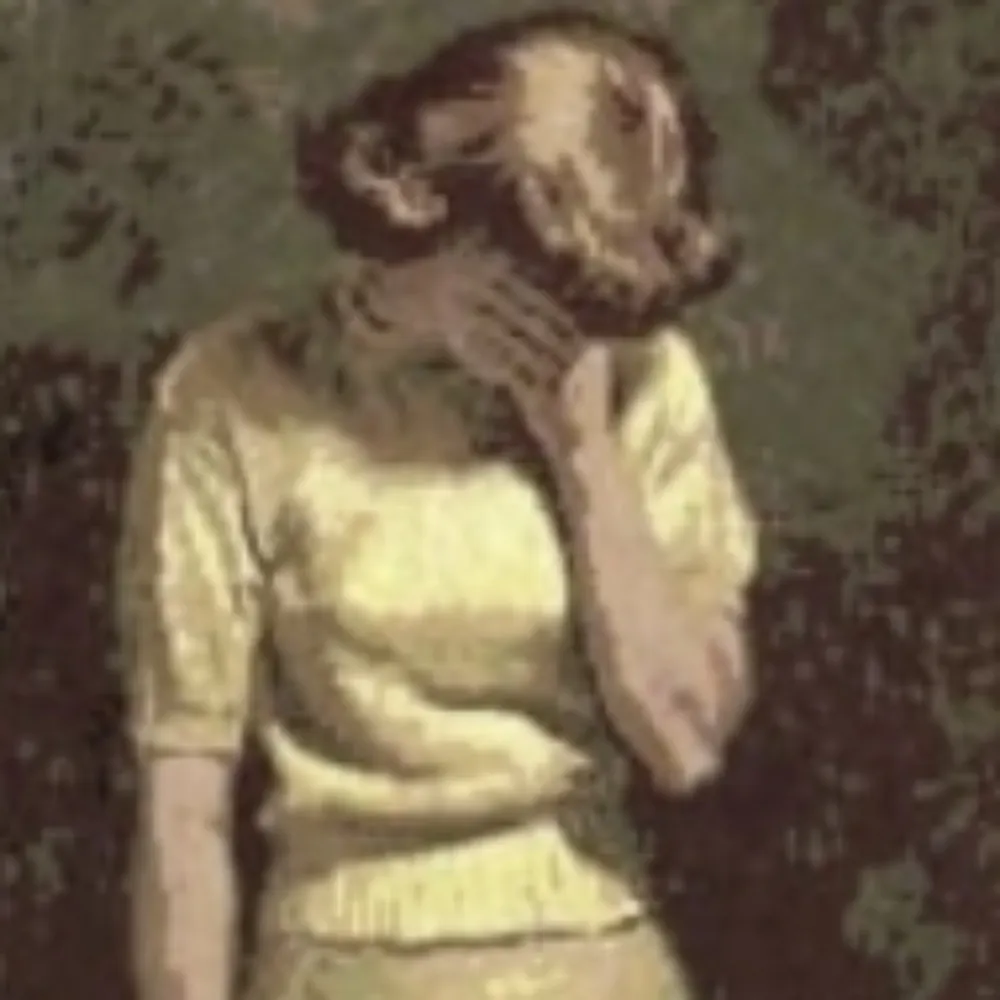 chirpy.northsky.social's profile picture