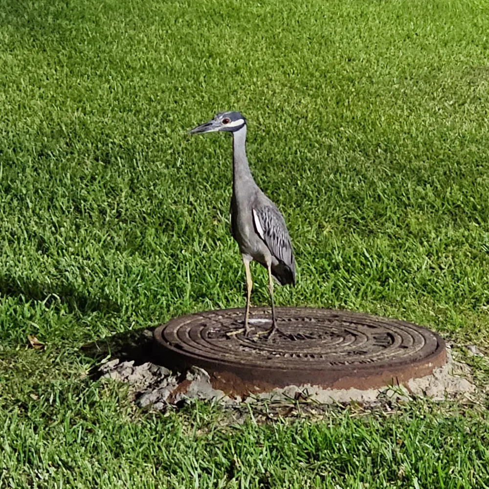 genericuser1234567.bsky.social's profile picture