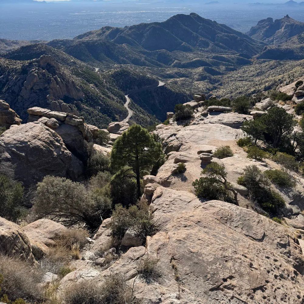 helainea.bsky.social's profile picture