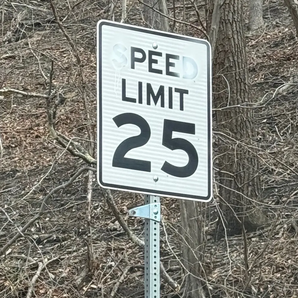 robertus.bsky.social's profile picture