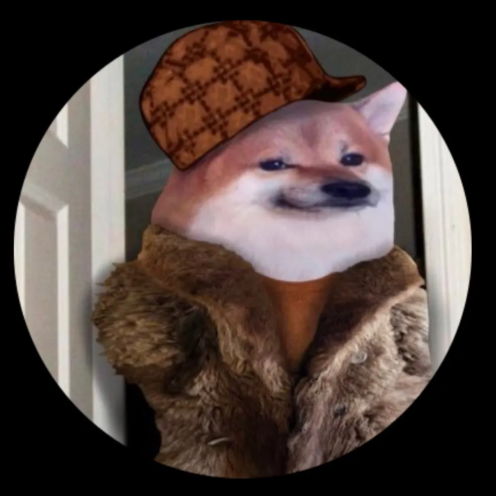 illinoismanfella.eurosky.social's profile picture