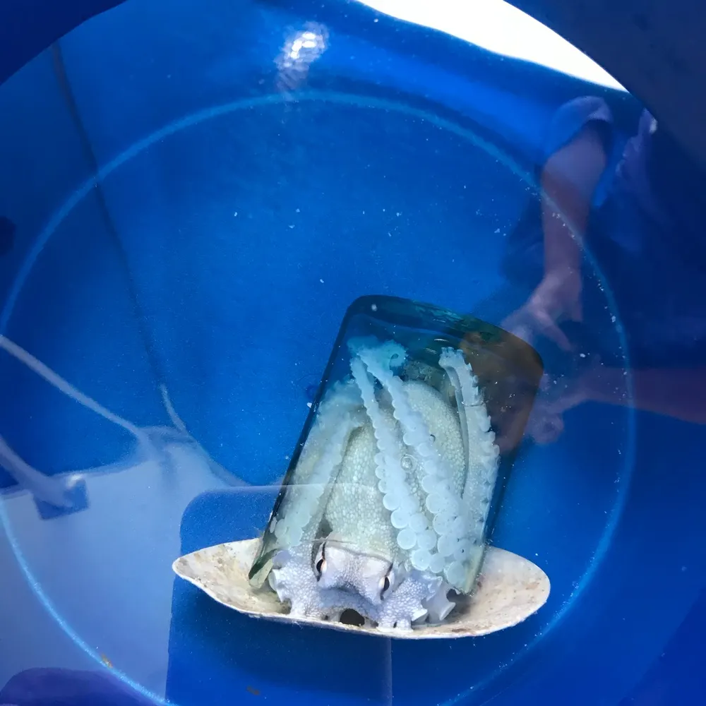 20degreessouth.bsky.social's profile picture