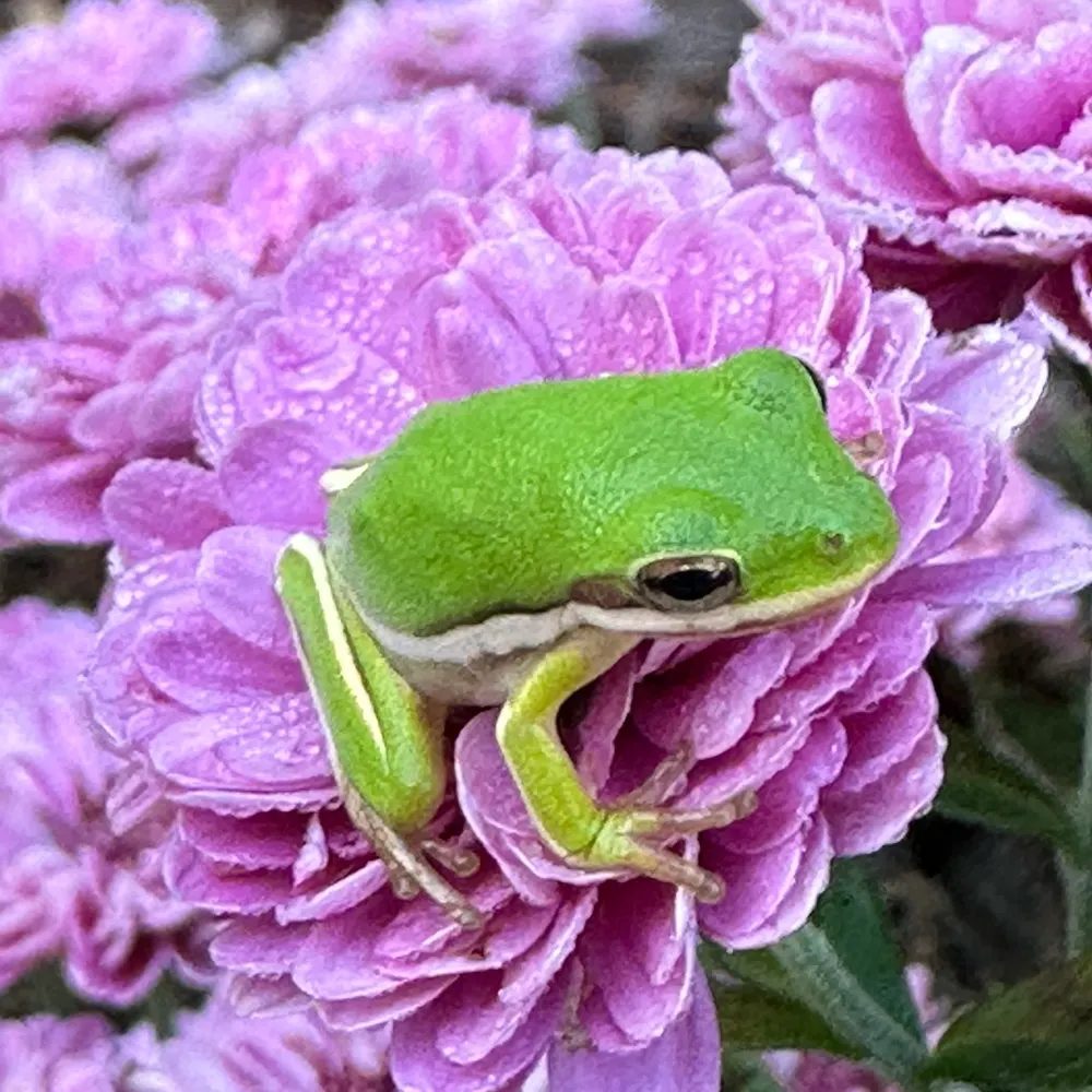 mrg1956.bsky.social's profile picture