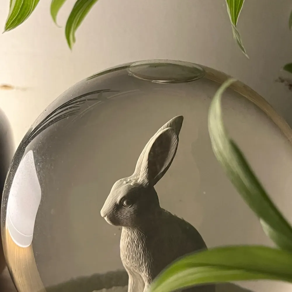 stilljackrabbit.bsky.social's profile picture