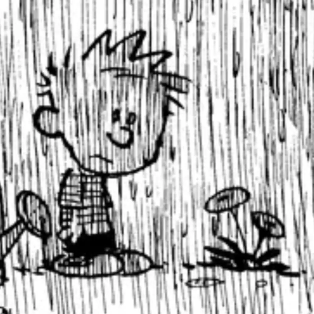 climateofmemes.bsky.social's profile picture