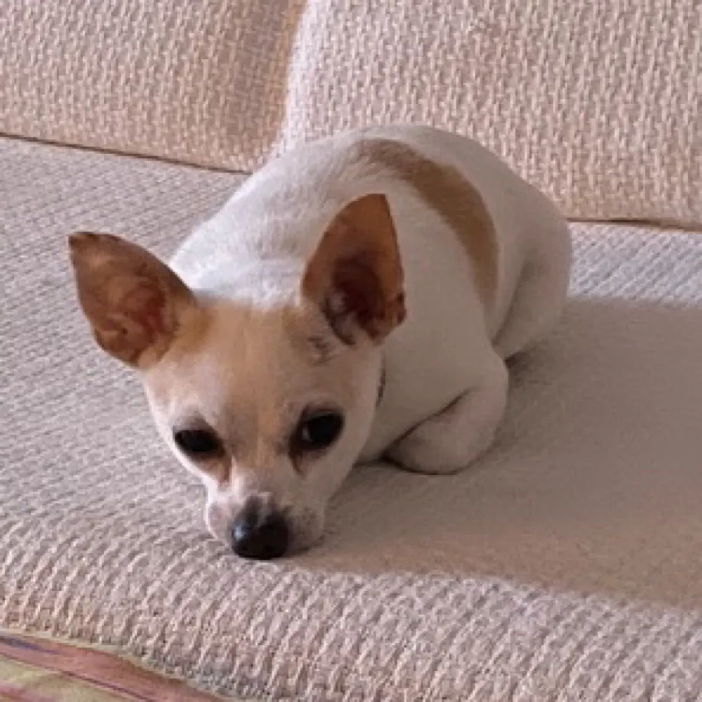 vkymshta.bsky.social's profile picture